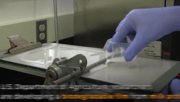 Don't Toss the Package - Eat It - Sputnik International