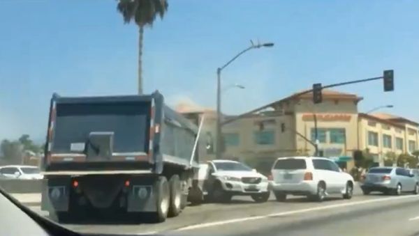 Truck Driver’s Gotta Go - Sputnik International