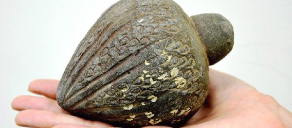 Items Thousands of Years Old that were Retrieved from the Sea were Turned Over to the Israel Antiquities Authority - Sputnik International