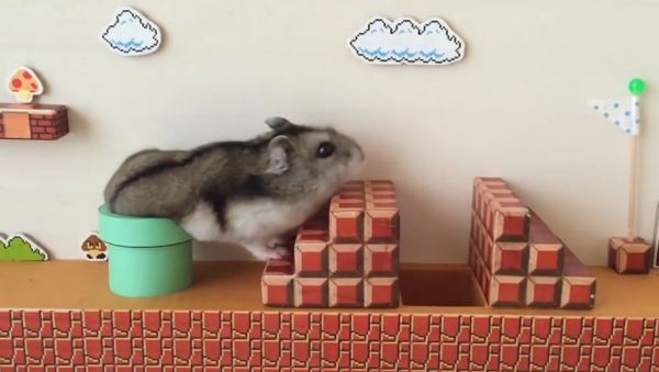 HAMUMARIO - Sputnik International