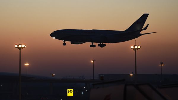 Plane. (File) - Sputnik International