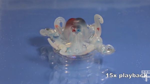 Octobot - Sputnik International