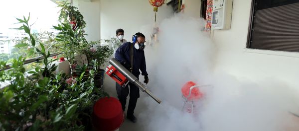 This photograph taken on August 28, 2016 and made available by the Straits Times shows workers fogging in the housing estate at Aljunied Crescent in Singapore This photograph taken on August 28, 2016 and made available by the Straits Times shows workers fogging in the housing estate at Aljunied Crescent in Singapore - Sputnik International