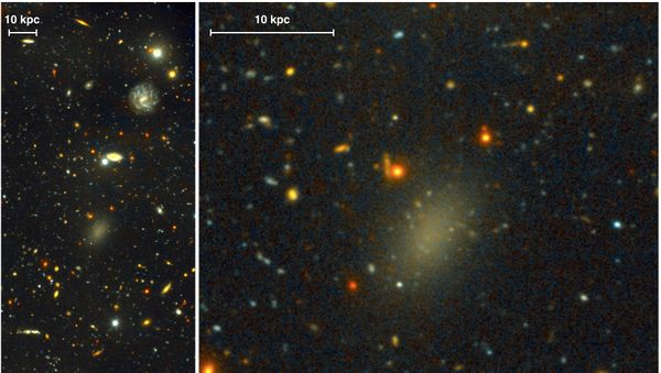 The dark galaxy Dragonfly 44 - Sputnik International