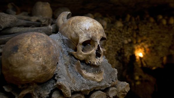 In this photo taken Tuesday, Oct. 14, 2014, skulls and bones are stacked at the Catacombs in Paris, France In this photo taken Tuesday, Oct. 14, 2014, skulls and bones are stacked at the Catacombs in Paris, France - Sputnik International
