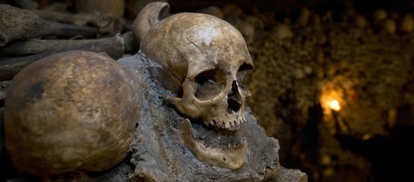 In this photo taken Tuesday, Oct. 14, 2014, skulls and bones are stacked at the Catacombs in Paris, France In this photo taken Tuesday, Oct. 14, 2014, skulls and bones are stacked at the Catacombs in Paris, France - Sputnik International