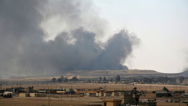 Smoke rises from clashes between Iraqi security forces and Islamic State militants in the town of Qayyara, Iraq August 24, 2016 Smoke rises from clashes between Iraqi security forces and Islamic State militants in the town of Qayyara, Iraq August 24, 2016 - Sputnik International