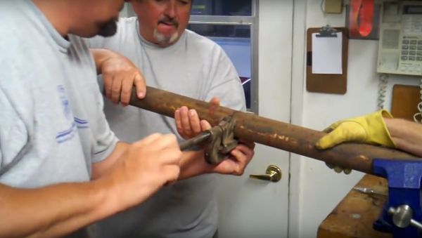 Kitten Rescue - Sputnik International