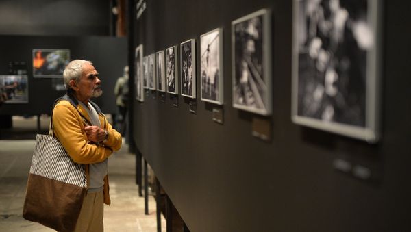 A visitor at the opening of a photo exhibition of the prizewinners in the Andrei Stenin International Press Photo Contest in Moscow. File photo A visitor at the opening of a photo exhibition of the prizewinners in the Andrei Stenin International Press Photo Contest in Moscow. File photo - Sputnik International