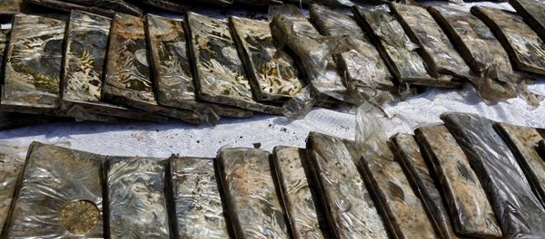 Packets with hashish - Sputnik International