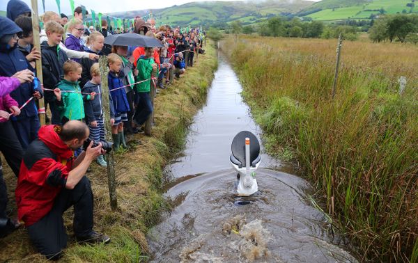 Highlights of the World Bog Snorkeling Championship - Sputnik International