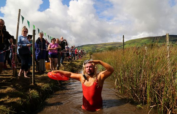 Highlights of the World Bog Snorkeling Championship - Sputnik International