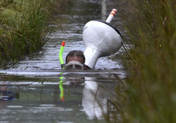 Highlights of the World Bog Snorkeling Championship - Sputnik International