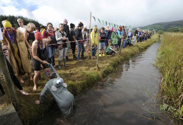 Highlights of the World Bog Snorkeling Championship - Sputnik International
