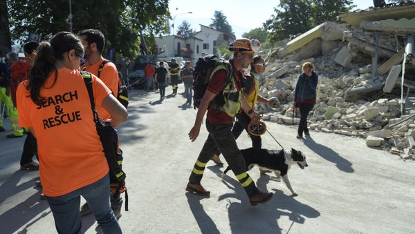 An emergency service personnal walks with his rescue dog next to volunteers participating in rescue operation near rubble and debris of a destroyed building marked with a security cordon and a excavator in the damaged central Italian village of Amatrice on August 26, 2016 two day after a 6.2-magnitude earthquake struck the region killing some 267 people An emergency service personnal walks with his rescue dog next to volunteers participating in rescue operation near rubble and debris of a destroyed building marked with a security cordon and a excavator in the damaged central Italian village of Amatrice on August 26, 2016 two day after a 6.2-magnitude earthquake struck the region killing some 267 people - Sputnik International