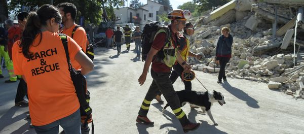 An emergency service personnal walks with his rescue dog next to volunteers participating in rescue operation near rubble and debris of a destroyed building marked with a security cordon and a excavator in the damaged central Italian village of Amatrice on August 26, 2016 two day after a 6.2-magnitude earthquake struck the region killing some 267 people - Sputnik International