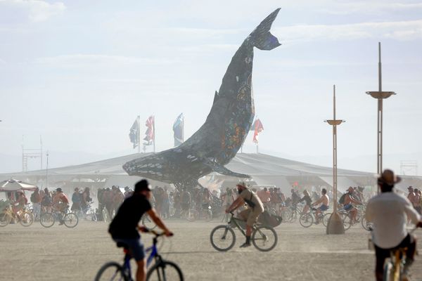 Dusty Nevada Desert Arouses Parallel Universe at Burning Man Festival - Sputnik International