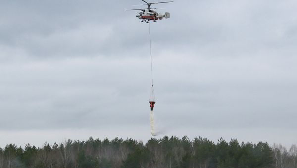 A KA-32A11BC helicopter firefighter during tactical specialized exervices in wildland firefighting in the Moscow Region. (File) - Sputnik International