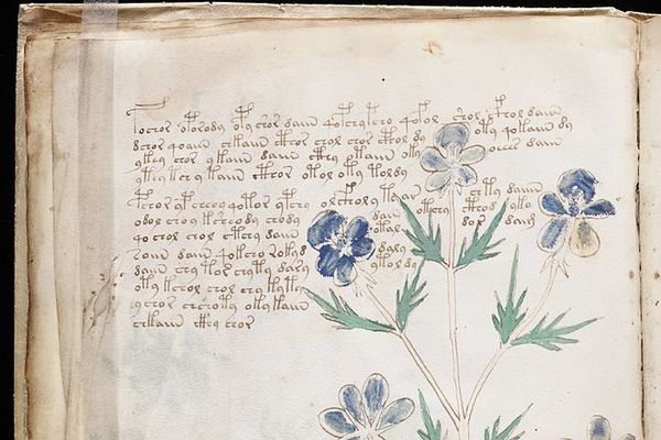 A page from the mysterious Voynich manuscript, which is undeciphered to this day. A page from the mysterious Voynich manuscript, which is undeciphered to this day. - Sputnik International