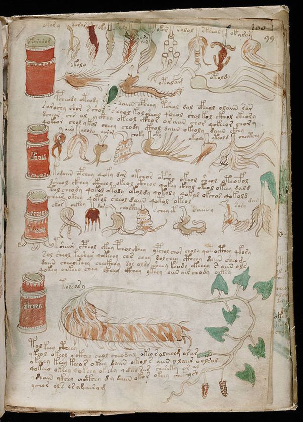 A page from the mysterious Voynich manuscript, which is undeciphered to this day. A page from the mysterious Voynich manuscript, which is undeciphered to this day. - Sputnik International