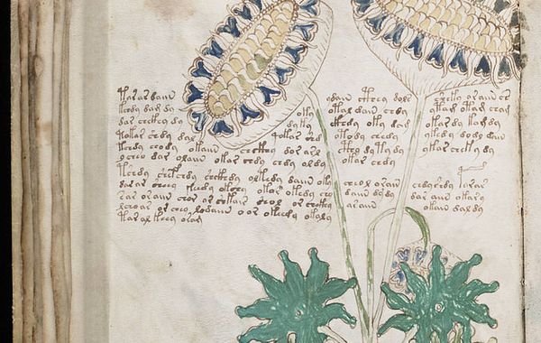 A page from the mysterious Voynich manuscript, which is undeciphered to this day. A page from the mysterious Voynich manuscript, which is undeciphered to this day. - Sputnik International