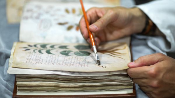 Luis Miguel quality control operator of the Spanish publishing Siloe working on cloning the 'Codex Voynich' Yale University, in Burgos province on August 9, 2016. - Sputnik International