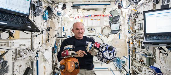 Commander Jeff Williams - Sputnik International