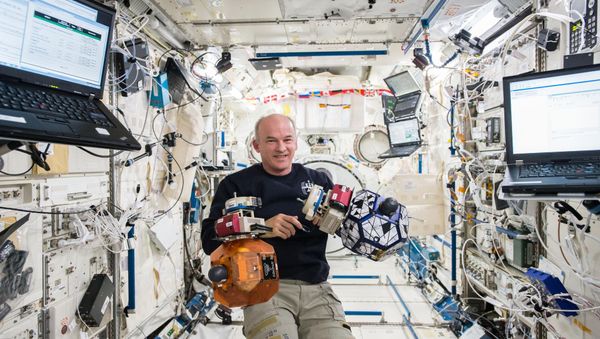 Commander Jeff Williams Commander Jeff Williams - Sputnik International