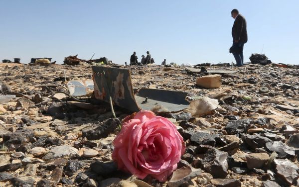 A flower is seen near debris at the crash site of a Russian airliner in al-Hasanah area in El Arish city, north Egypt, November 1, 2015. (File) - Sputnik International