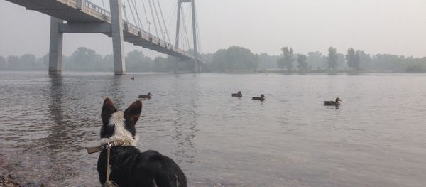 Yenisei River - Sputnik International