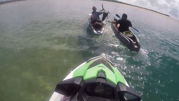 Baby Wallaby Stuck in Open Waters Rescued via Jet Ski - Sputnik International
