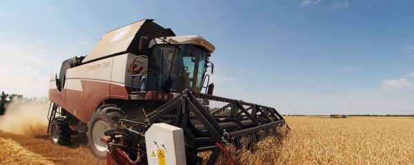 Combine harvester works the fields in southern Russia's Krasnodar Territory - Sputnik International