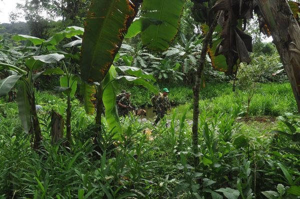 FARC fighters - Sputnik International