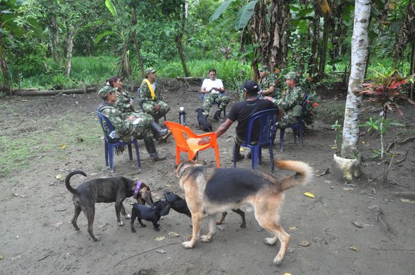 FARC fighters - Sputnik International