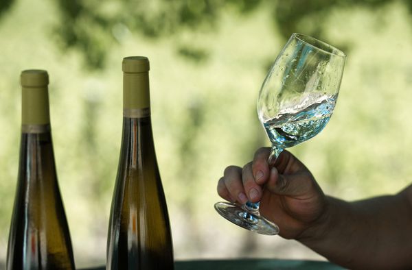 Be careful! Choose the right wine. Be careful! Choose the right wine. - Sputnik International