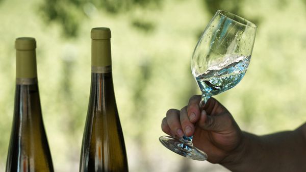 Wine - Sputnik International