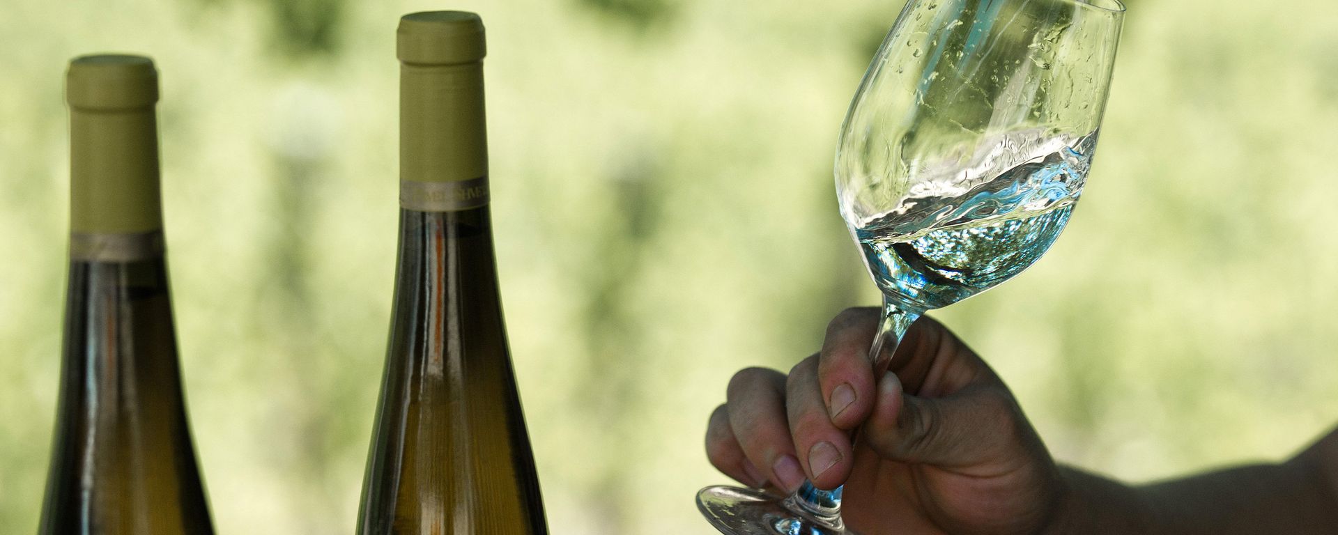 Be careful! Choose the right wine. - Sputnik International, 1920, 07.08.2022
