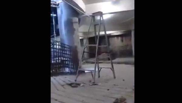When the angle of decline is *just* right (step ladder can walk) - Sputnik International