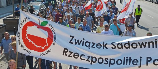 Polish fruit growers hold a protest rally in Warsaw demanding amendments to the anti-Russian sanctions in order to resume apple exports into Russia. file photo - Sputnik International