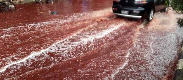Bangladesh Blood River - Sputnik International