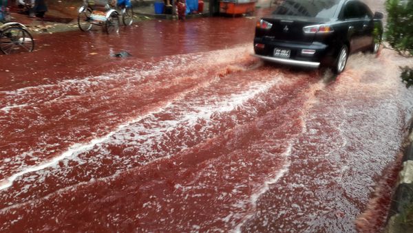 Bangladesh Blood River - Sputnik International