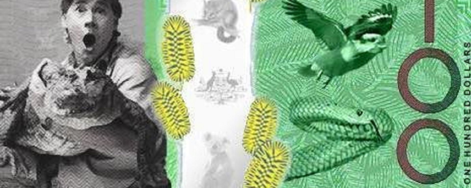 Aussies Want to Put Crocodile Hunter Steve Irwin on Money Aussies Want to Put Crocodile Hunter Steve Irwin on Money - Sputnik International, 1920, 15.09.2016
