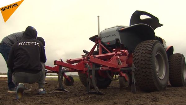 Russians Create an Agrorobot that Makes Farming Pleasure - Sputnik International
