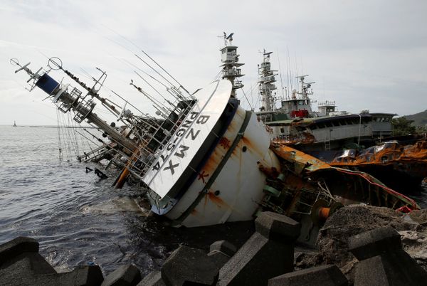 This Week in Pictures - Sputnik International