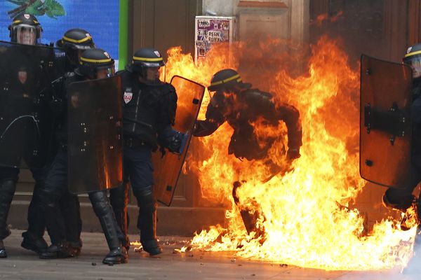 This Week in Pictures - Sputnik International
