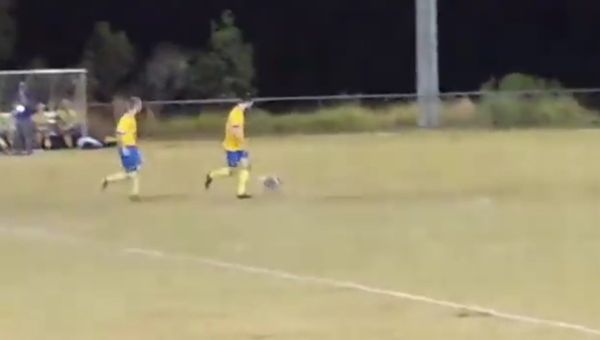 Only in Australia: Koala Runs Onto Field During Soccer Game - Sputnik International