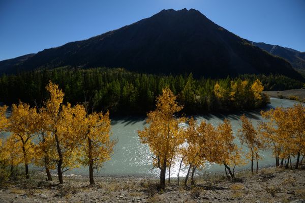 Golden Mountains: Breathtaking Landscapes of Russia’s Altai - Sputnik International