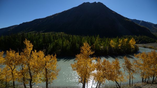 Golden Mountains: Breathtaking Landscapes of Russia’s Altai - Sputnik International