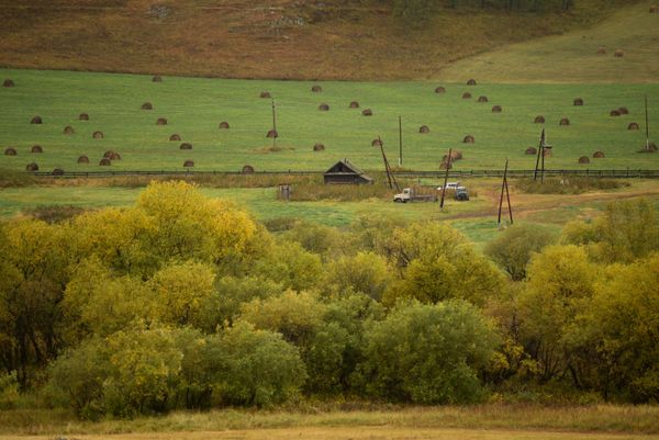 Golden Mountains: Breathtaking Landscapes of Russia’s Altai - Sputnik International