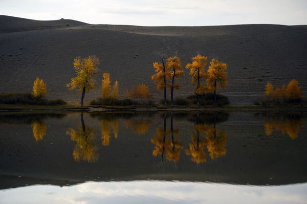 Golden Mountains: Breathtaking Landscapes of Russia’s Altai - Sputnik International